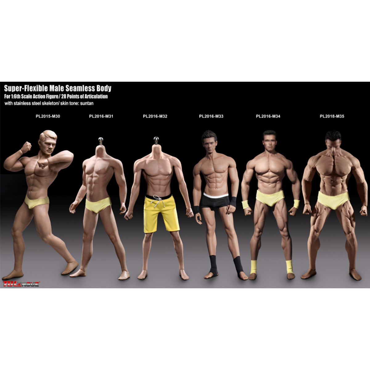 TBLeague, Seamless Male Muscular Body Suntan-Skin, Action Figures Body