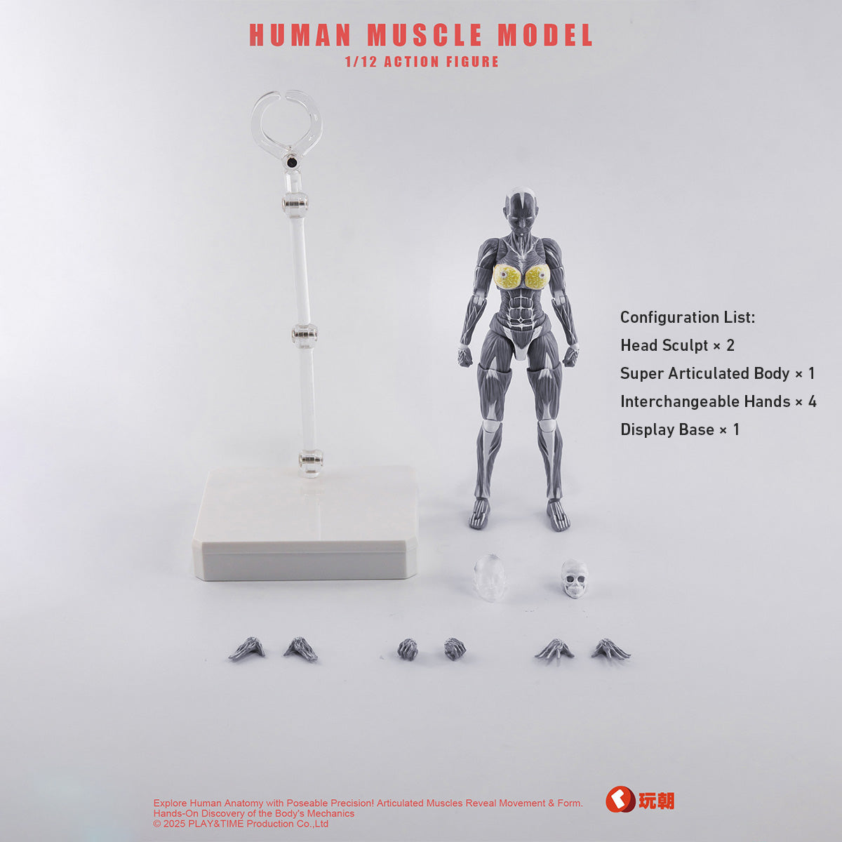 KEEPGOING Female Human Muscle Model Grey Version 1/12 Scale Super Articulated Action Figure