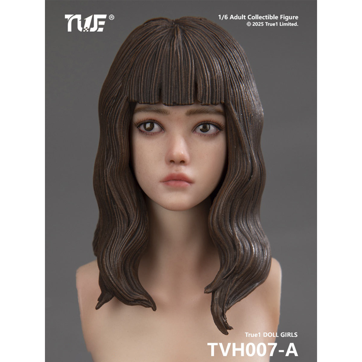 TVH007 Nini Cast Resin Female with Movable Eyes Head Sculpt Long Brown Hair Accessory 1/6 Scale Fit Action Figure