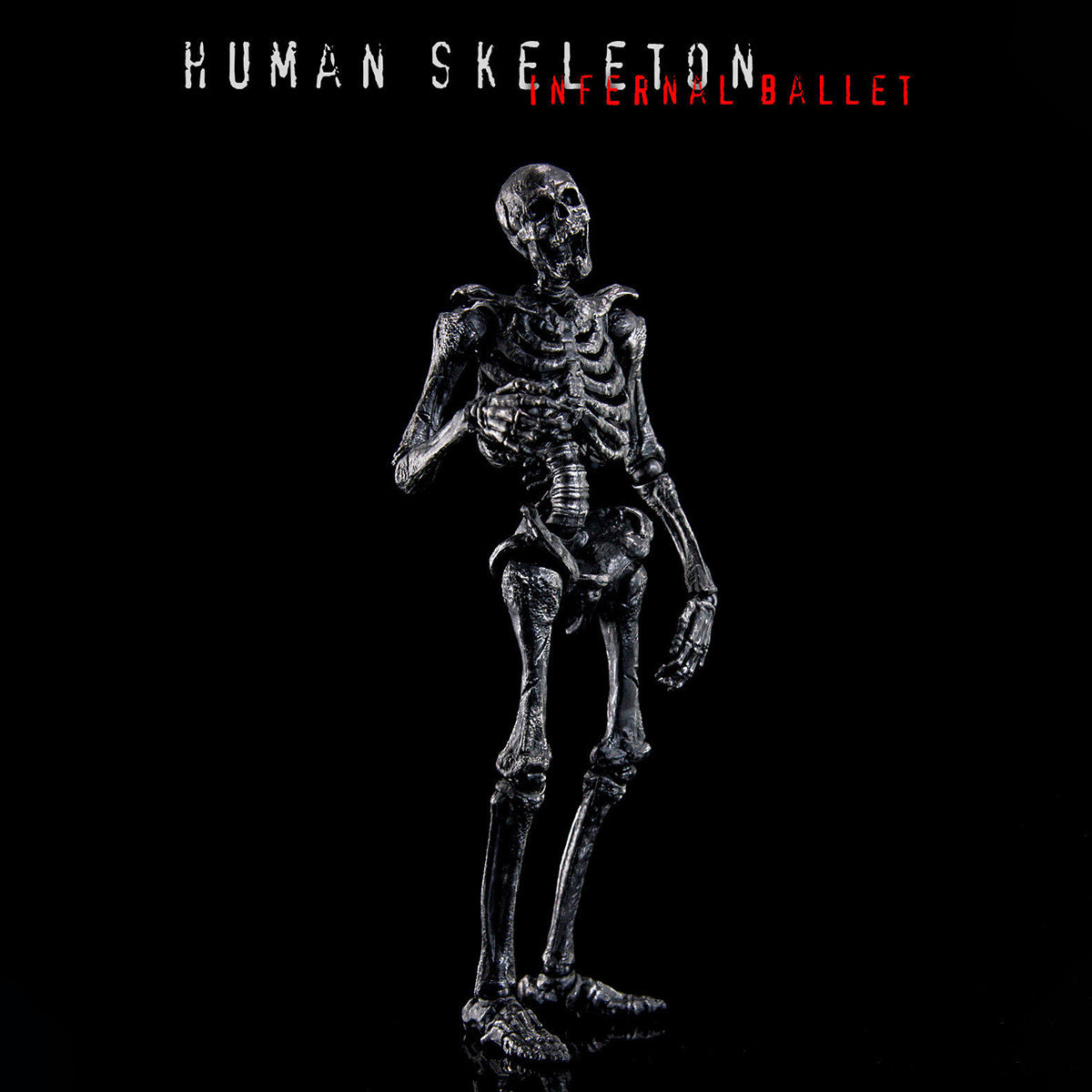 KEEPGOING Biology Classroom Human Skeleton Articulated Model Infernal Ballet 1/12 Scale Action Figure