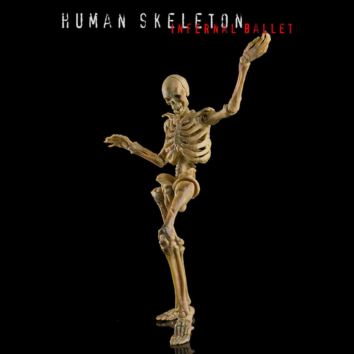 KEEPGOING Biology Classroom Human Skeleton Articulated Model Infernal Ballet 1/12 Scale Action Figure