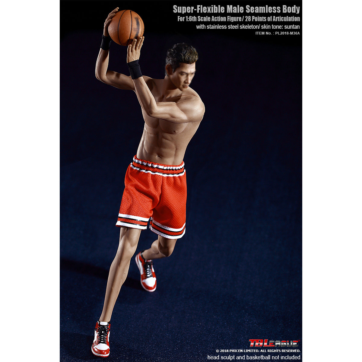 TBLeague, Seamless Steel Skeleton Male Build Body, Action Figures Body