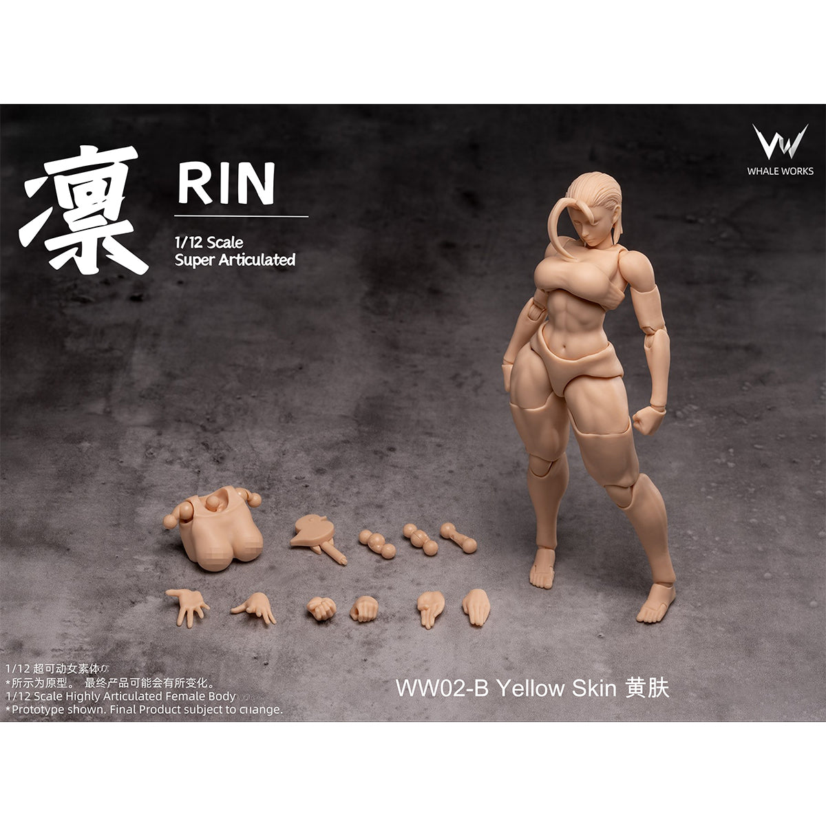 WHALE WORKS Articulated Joints Female WW01-A ARIA Large Bust WW02-A RIN Large Bust 1/12 Scale Action Figure Body