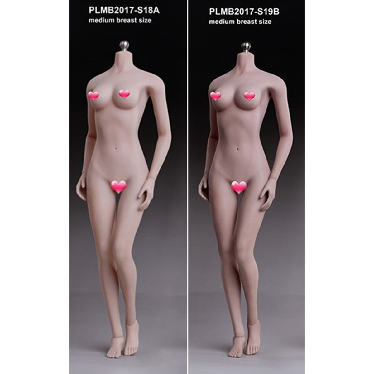 TBLeague Female Seamless Less Muscular Type Medium Bust Headless Detachable Feet 1/6 Scale Action Figure Body