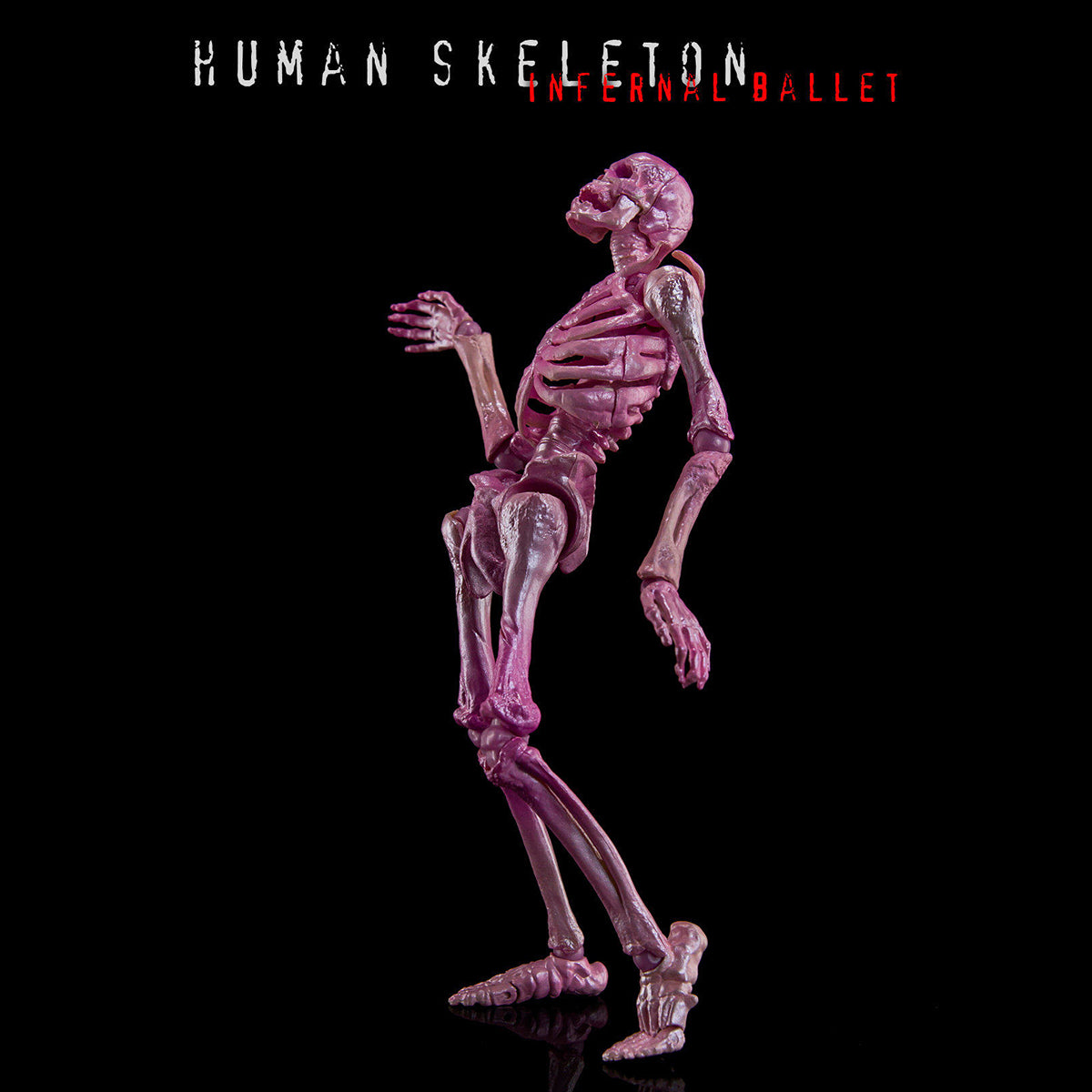 KEEPGOING Biology Classroom Human Skeleton Articulated Model Infernal Ballet 1/12 Scale Action Figure