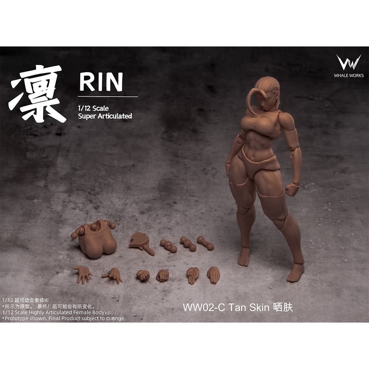 WHALE WORKS Articulated Joints Female WW01-A ARIA Large Bust WW02-A RIN Large Bust 1/12 Scale Action Figure Body