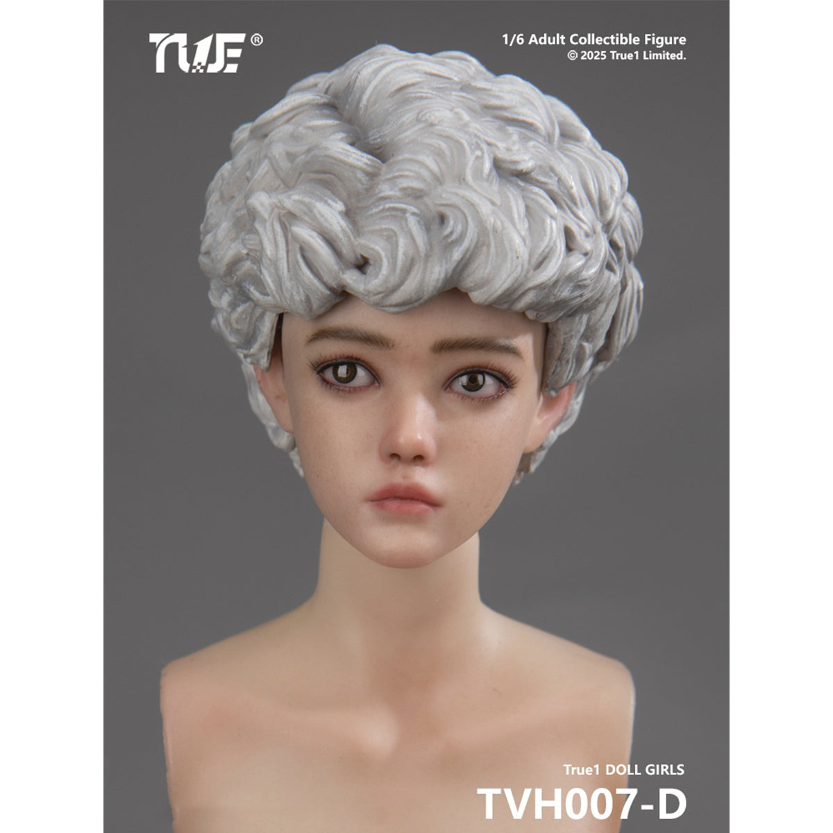 TVH007 Nini Cast Resin Female with Movable Eyes Head Sculpt Long Brown Hair Accessory 1/6 Scale Fit Action Figure