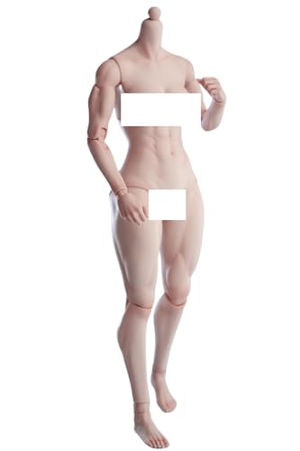 Figura de acción femenina Worldbox a escala 1:6, cuerpo musculoso, busto mediano, piel color trigo.