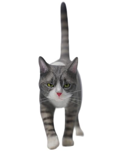 Figura de gato coleccionable JXK: modelo Felis Catus, pintada a mano por expertos, resina realista y segura, miniatura a escala 1:6.