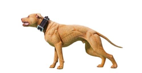 Figura de perro coleccionable JXK: American Pitbull Terrier, pintada a mano por expertos, realista, resina segura, miniatura a escala 1:6, JXK129A