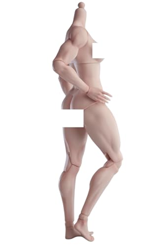 Figura de acción femenina Worldbox a escala 1:6, cuerpo musculoso, busto mediano, piel color trigo.