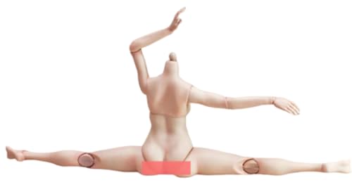 Figura de acción femenina True1Toys a escala 1:6 - Cuerpo alto y regordete, piel clara, busto mediano, EC3025A