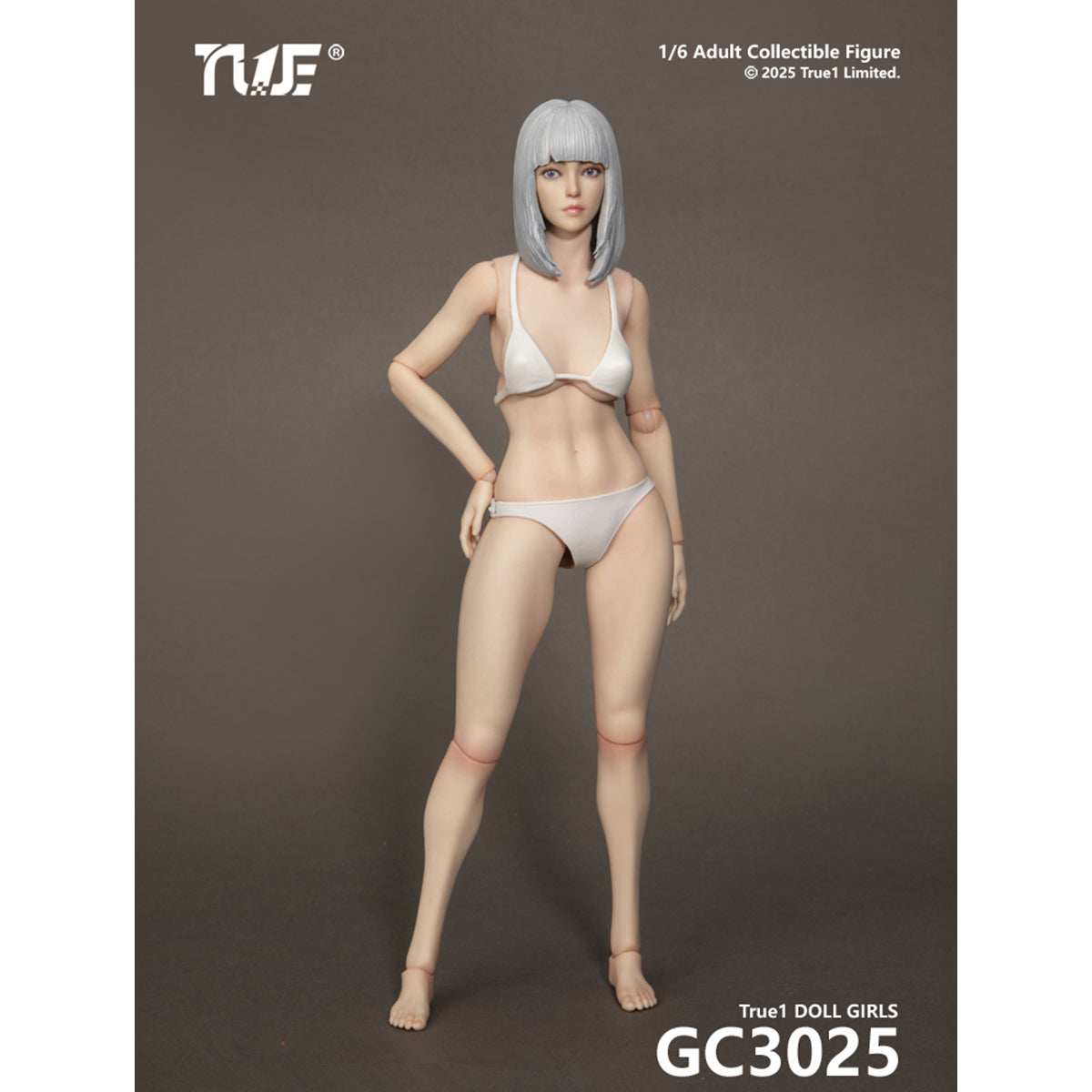 TBLeague Female Articulated Joints Black Hair Light-Suntan Skined & Gray Hair Pale-Skined with Head Sculpt 1/6 Scale Action Figure Body