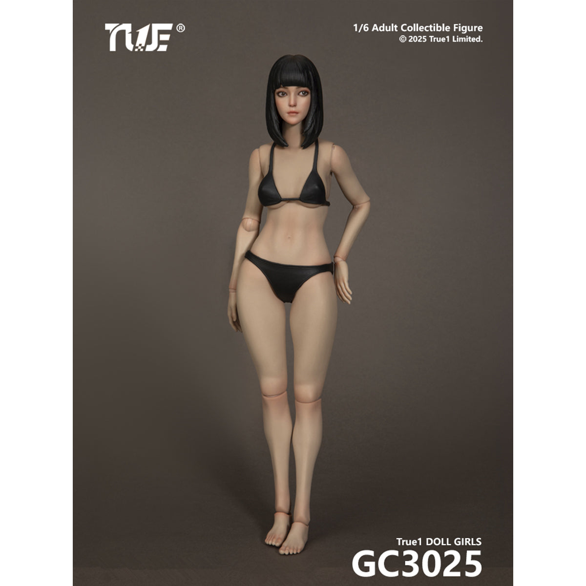 TBLeague Female Articulated Joints Black Hair Light-Suntan Skined & Gray Hair Pale-Skined with Head Sculpt 1/6 Scale Action Figure Body