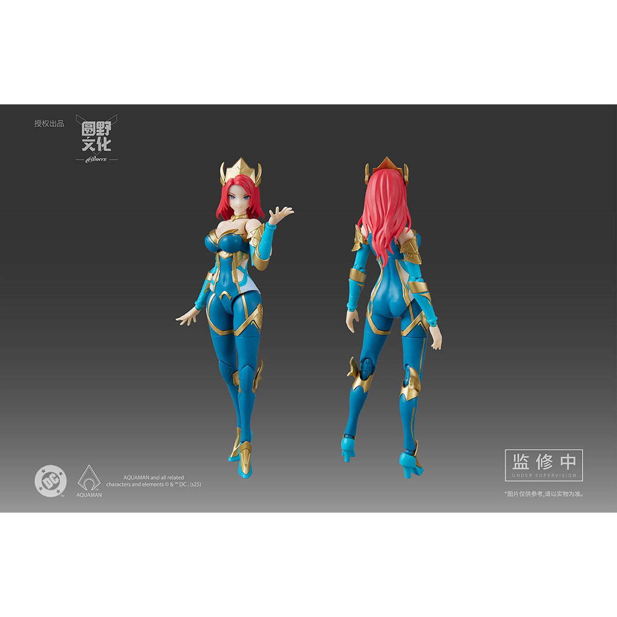 MS GENERAL DC Series DC-04 MERA 1/10 Scale Assembly Model Kits