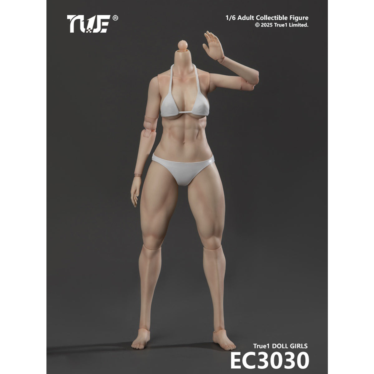 True1Toys Articulated Joints Female Muscular Legs Version EC3029 Medium Bust EC3030 Large Bust 1/6 Scale Action Figure Body