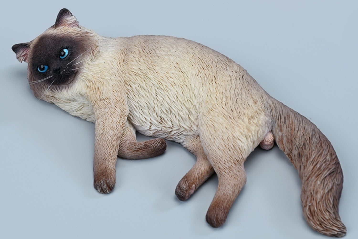 Figura de gato coleccionable JXK: Ragdoll 3.0, miniatura de animal a escala 1:6