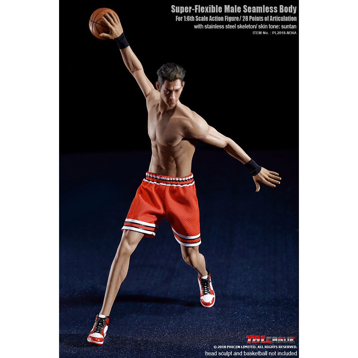 TBLeague, Seamless Steel Skeleton Male Build Body, Action Figures Body