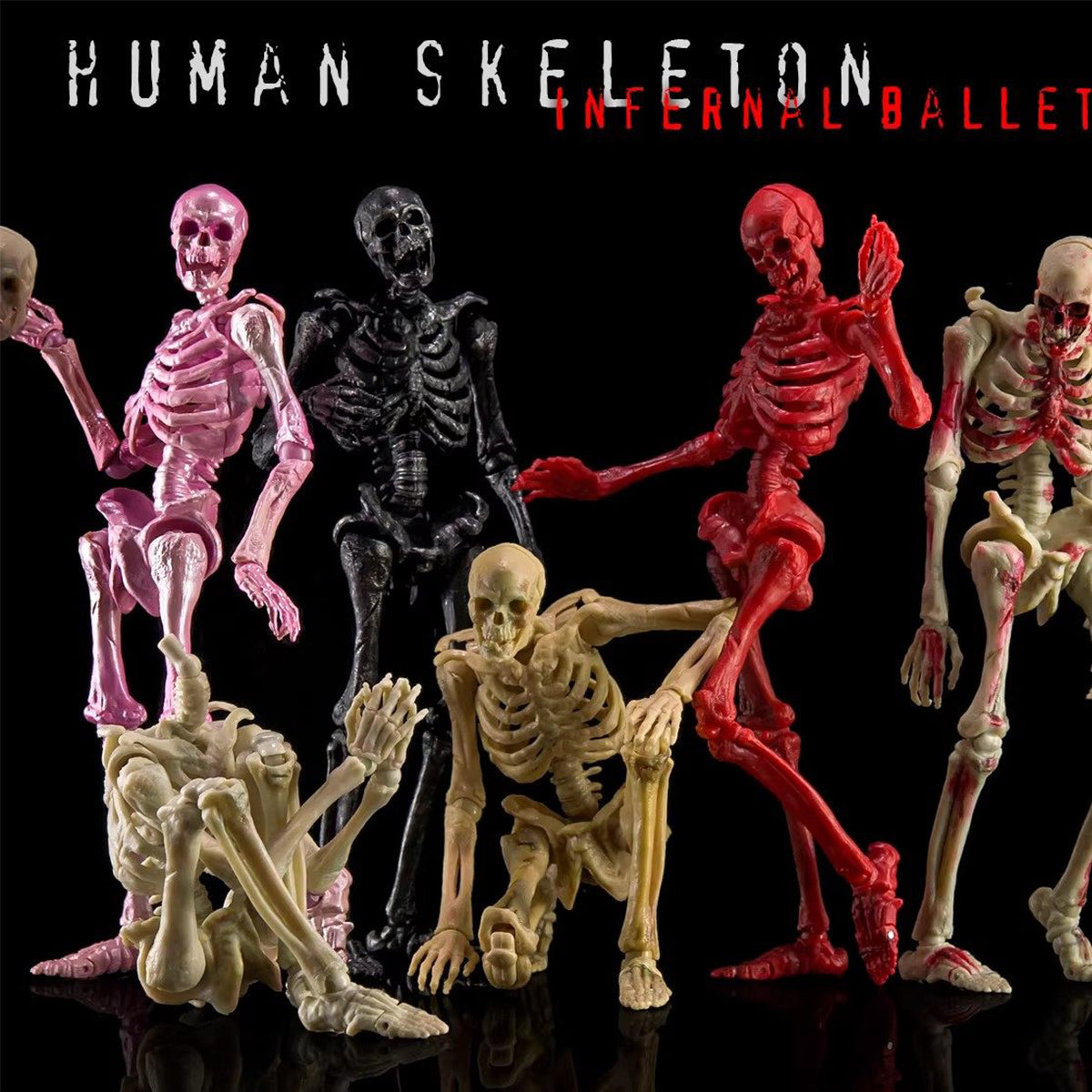 KEEPGOING Biology Classroom Human Skeleton Articulated Model Infernal
