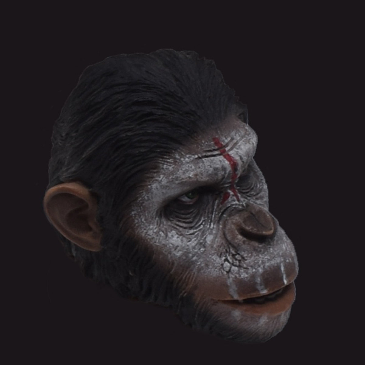 MIT TOYS, Caesar Head Sculpture, Figure Head Sculpt