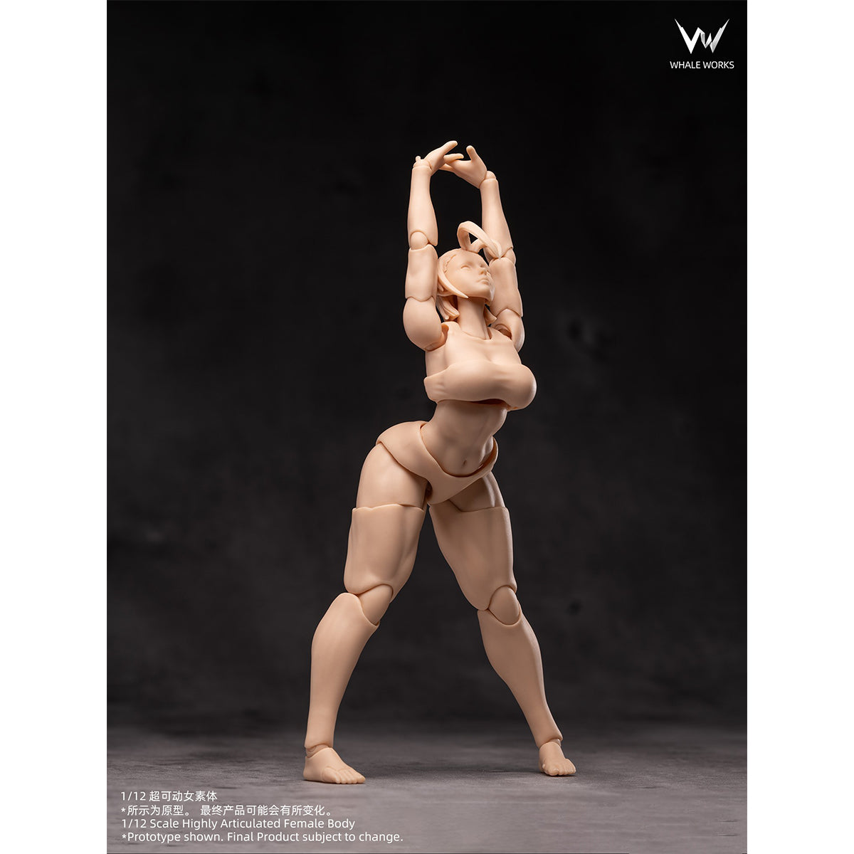 WHALE WORKS Articulated Joints Female WW01-A ARIA Large Bust WW02-A RIN Large Bust 1/12 Scale Action Figure Body