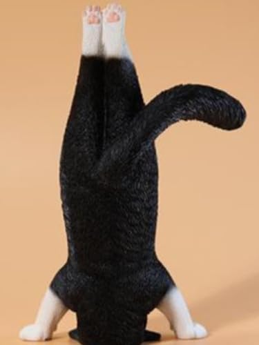 Figura de gato coleccionable JXK: Gato yoga, pintada a mano por expertos, realista, resina segura, miniatura a escala 1:6