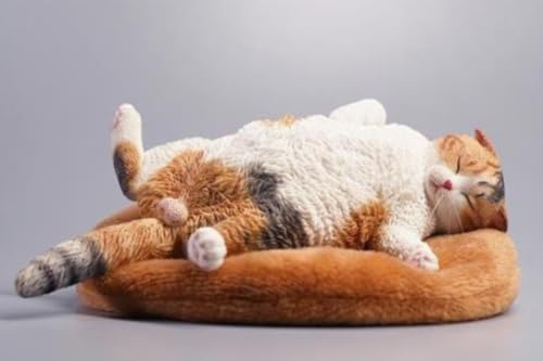 Figura de gato coleccionable JXK: Gato letárgico, pintada a mano por expertos, realista, resina segura, miniatura a escala 1:6.