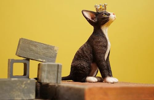 Figurine de chat de collection JXK : Deon Rex, figurine animale miniature à l'échelle 1:6