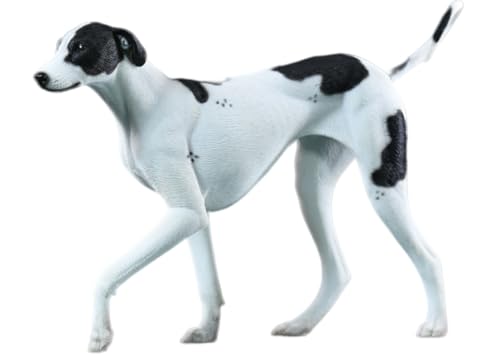 Figura de perro coleccionable JXK: Azawakh, pintada a mano por expertos, de resina realista y segura, miniatura a escala 1:6, JXK192A