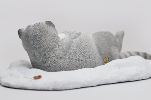 Figura de gato coleccionable JXK: Otocolobus Manul, pintada a mano por expertos, resina realista y segura, miniatura a escala 1:6.