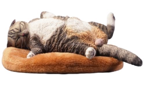 Figura de gato coleccionable JXK: Gato letárgico, pintada a mano por expertos, realista, resina segura, miniatura a escala 1:6.