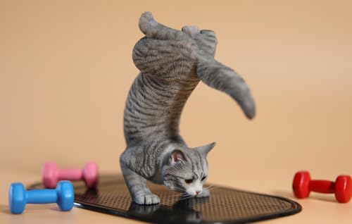 Figura de gato coleccionable JXK: Yoga Cat 2.0, pintada a mano por expertos, realista, de resina segura, miniatura a escala 1:6.