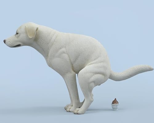 Figura de perro coleccionable JXK: Labrador, pintada a mano por expertos, realista, resina segura, miniatura a escala 1:6