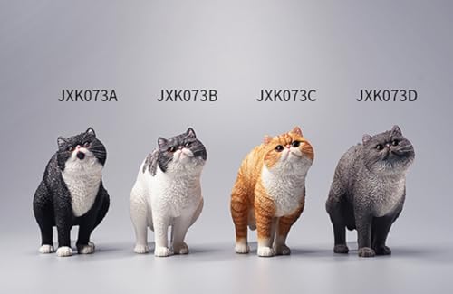 Figura de gato coleccionable JXK: exótico de pelo corto en cuclillas, pintado a mano por expertos, resina realista y segura, miniatura a escala 1:6.