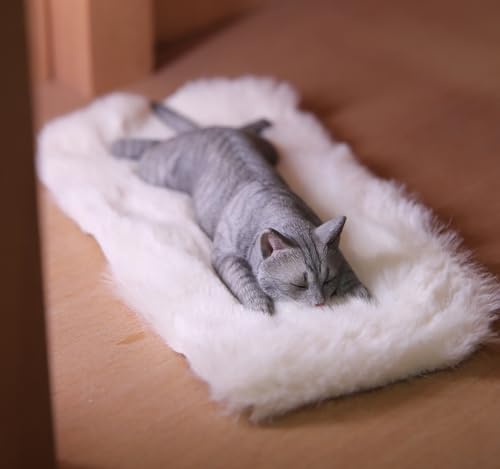 Figura de gato coleccionable JXK: Lethargic Cat 7.0, pintada a mano por expertos, realista, resina segura, miniatura a escala 1:6