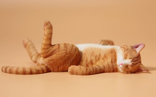 Figura de gato coleccionable JXK: Lethargic Cat 5.0, pintada a mano por expertos, realista, de resina segura, miniatura a escala 1:6.