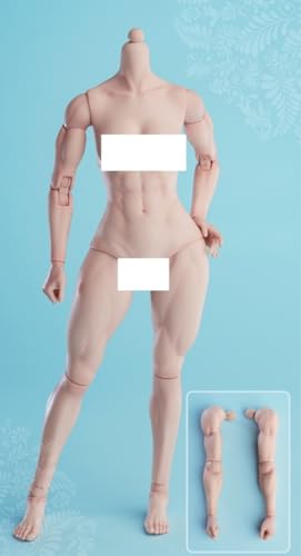 Figura de acción femenina Worldbox a escala 1:6, cuerpo musculoso, busto mediano, piel color trigo.