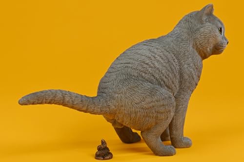 Figura de gato coleccionable JXK: Gato rebelde, pintado a mano por expertos, realista, resina segura, miniatura a escala 1:6.