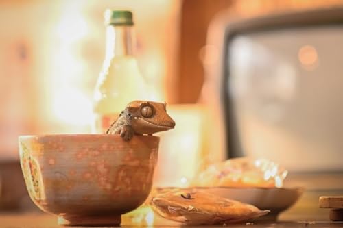 Figura de perro coleccionable JXK: Gecko de pestañas, pintada a mano por expertos, realista, resina segura, miniatura a escala 1:1