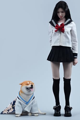 Figura de perro coleccionable JXK: Shiba Inu, pintada a mano por expertos, realista, resina segura, miniatura a escala 1:6.