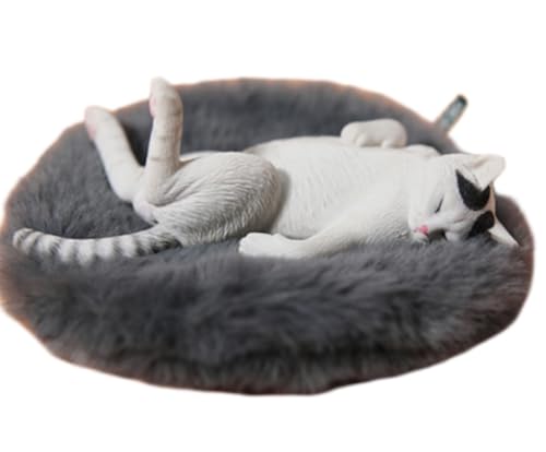 Figura de gato coleccionable JXK: Lethargic Cat 5.0, pintada a mano por expertos, realista, de resina segura, miniatura a escala 1:6.