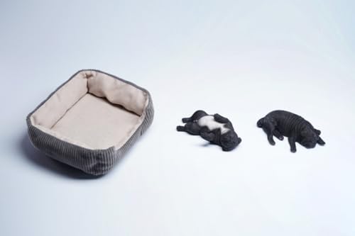 Figura de perro coleccionable JXK: Pug durmiendo, pintada a mano por expertos, realista, resina segura, miniatura a escala 1:6
