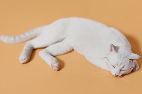 Figura de gato coleccionable JXK: Lethargic Cat 4.0, pintada a mano por expertos, realista, de resina segura, miniatura a escala 1:6.