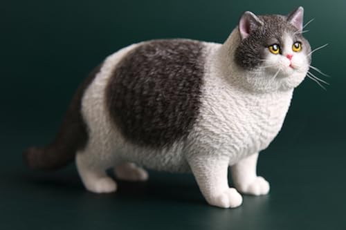 JXK Collectible Cat Figure: British Shorthair Cat, Expertly Hand-Painted, Lifelike, Safe Resin, 1:6 Scale Miniature Animal Figurine