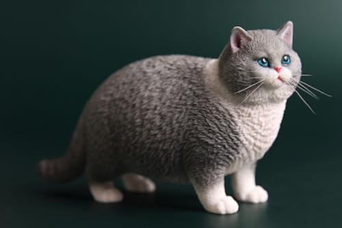 JXK Collectible Cat Figure: British Shorthair Cat, Expertly Hand-Painted, Lifelike, Safe Resin, 1:6 Scale Miniature Animal Figurine