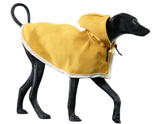 JXK Collectible Dog Figure: Azawakh Dog, Expertly Hand-Painted, Lifelike, Safe Resin, 1:6 Scale Miniature Animal Figurine JXK192A