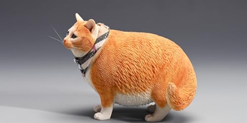 Figura de gato coleccionable JXK: Gato gordo con cabeza cambiante, pintada a mano por expertos, resina realista y segura, miniatura a escala 1:6.