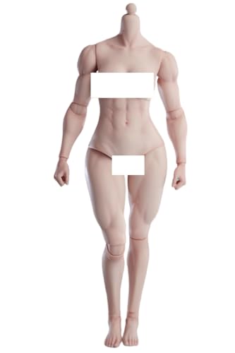 Figura de acción femenina Worldbox a escala 1:6, cuerpo musculoso, busto mediano, piel color trigo.