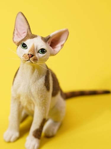 Figurine de chat de collection JXK : Deon Rex, figurine animale miniature à l'échelle 1:6
