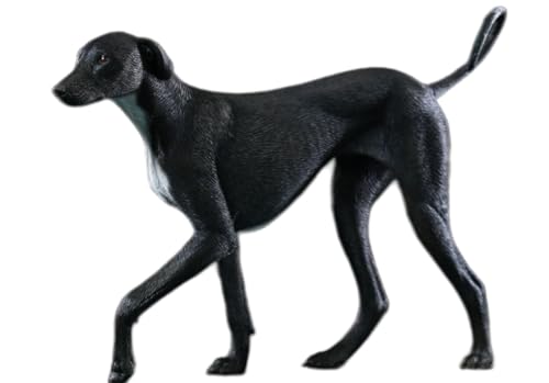 Figura de perro coleccionable JXK: Azawakh, pintada a mano por expertos, de resina realista y segura, miniatura a escala 1:6, JXK192A